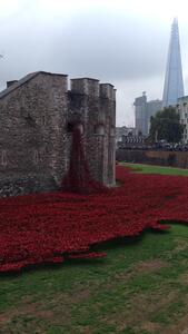 The london property auctions page image shows part of the Tower of London with a stream of red poppies cascading down the side of the building and onto the grass. The sky is grey and in the distance there is The Shard and an old pub with people sitting outside.