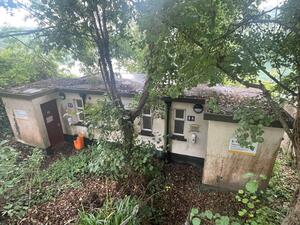 the image depicts are single storey former public convenience often seen at uk property auctions. The property is single storey and is a cream colour but in need of repainting. The property sold at clive emson auction due to its location. The building appears to be located in overgrown ground with trees in the foreground covering the building slightly. There are lots of brown leaves on the ground and some green ground ivy and weeds.   