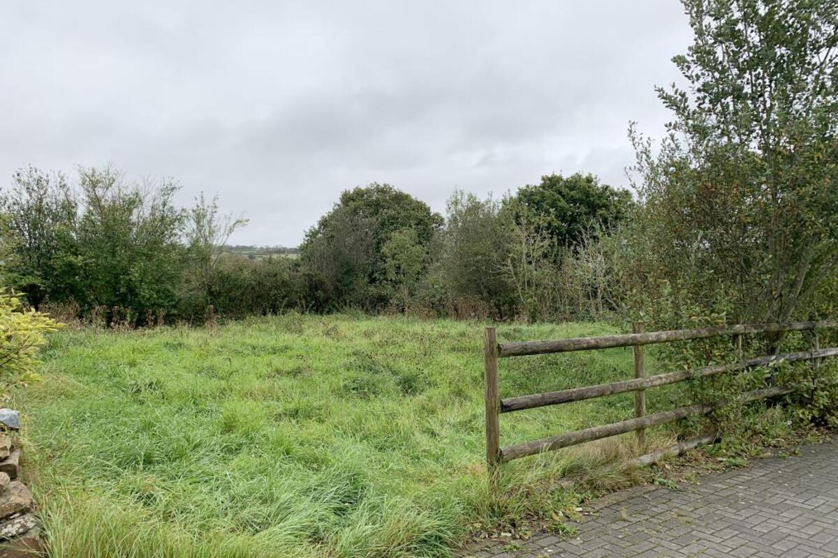 Land for Sale Devon PL20 £10£15,000 UK Auction List