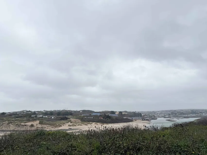 Green grass in the foreground with distant shot of sea and sand. Majority of the image is grey cloud sky.