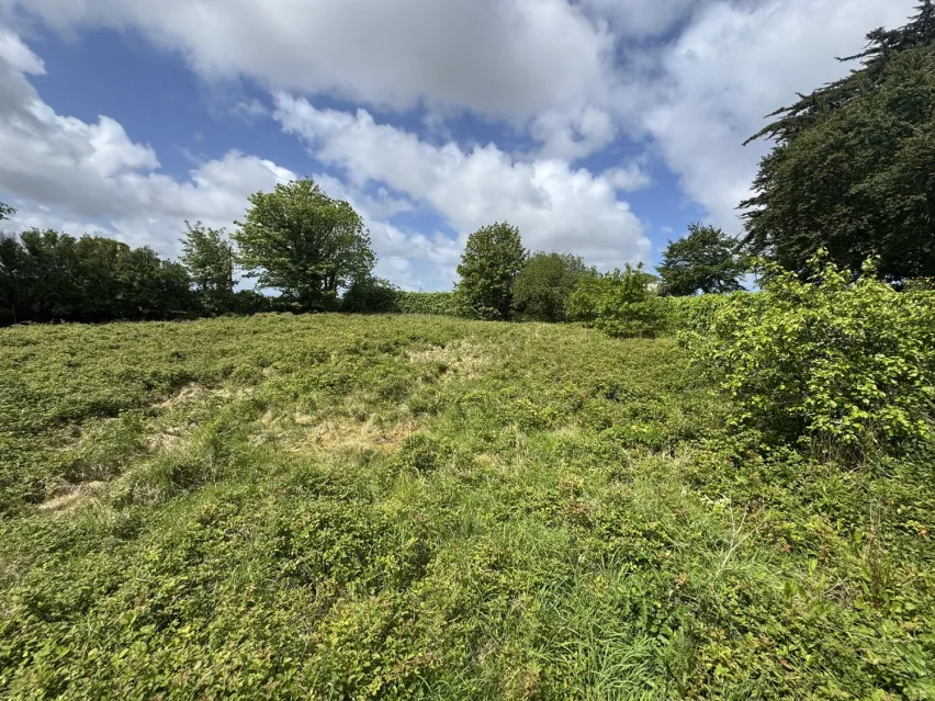Parcel of green grass land that sold at Clive Emson Auctioneers June property auction