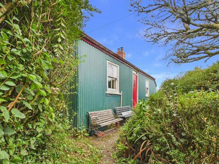 green detached property with red door surrounded by bushes