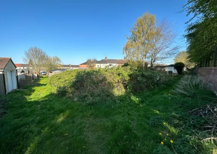 Overgrown garden with large shrubs, grassy areas, trees, and a brick wall under a blue sky.