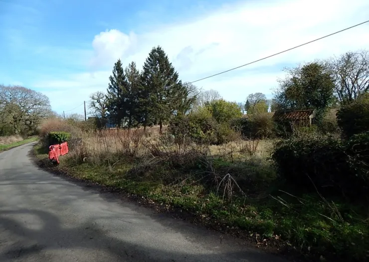 Rural roadside verge with red barrier, overgrown brush, trees, and a small outbuilding.