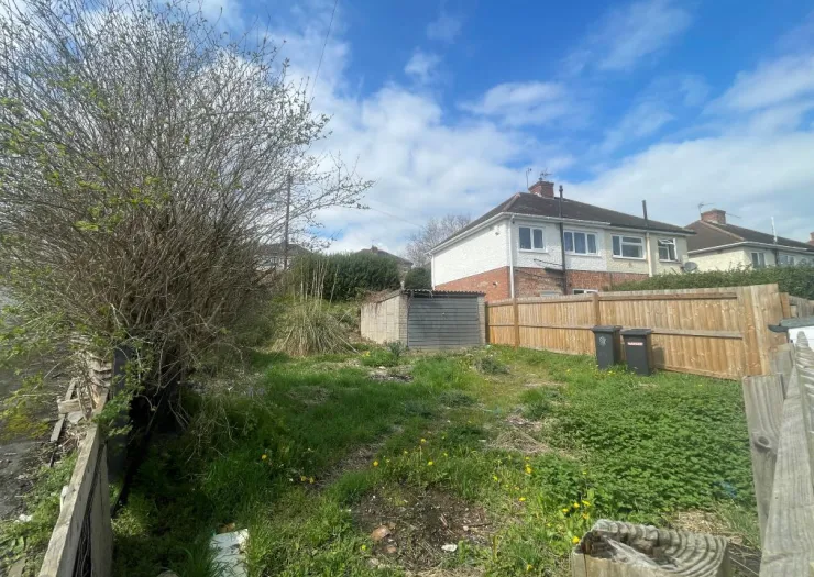 Overgrown garden with shed, fence, and back of a house under a blue sky.
