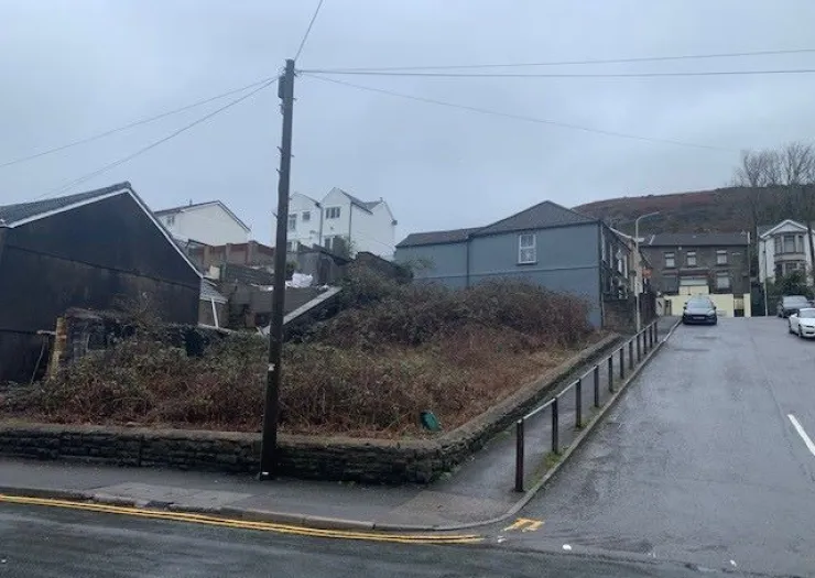 Overgrown plot of land between buildings, viewed from a street corner.