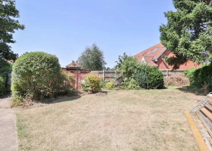 Overgrown garden with dry grass, shrubs, storage container, and wooden planks.