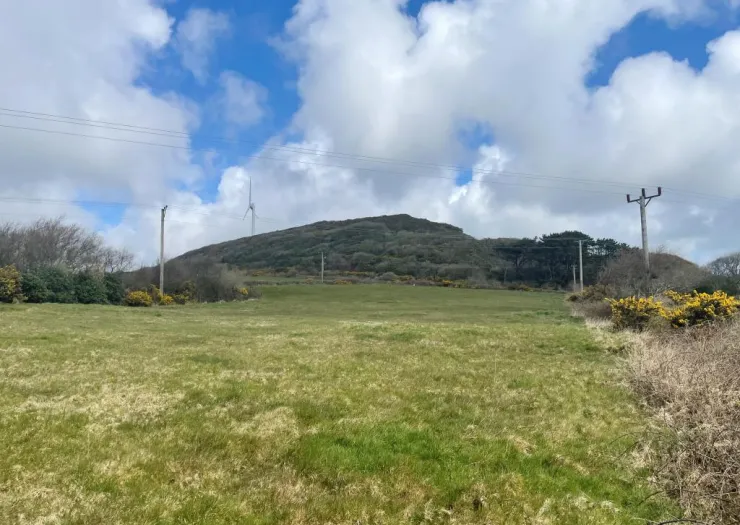 Green field with a wind turbine and wooded hill under a blue sky with fluffy white clouds.