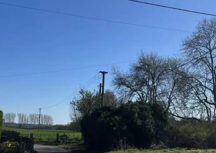 Clear blue sky over a green field, trees, and hedgerow. Utility poles and wires cross the scene.