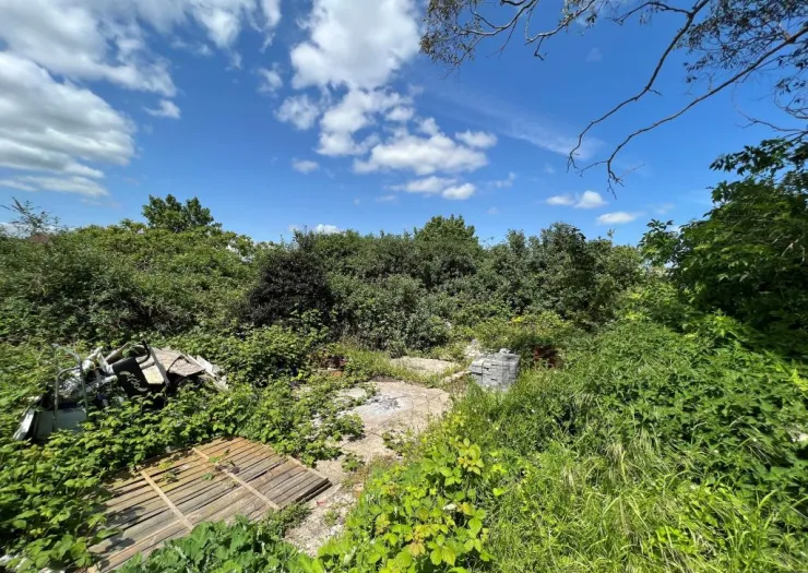 Overgrown plot with debris, green shrubs, and a sunny blue sky.