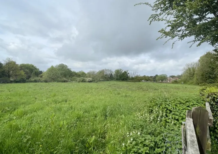 Green field with trees and cloudy sky.