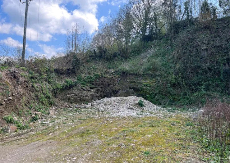 Overgrown quarry face with loose rock pile, under blue sky.