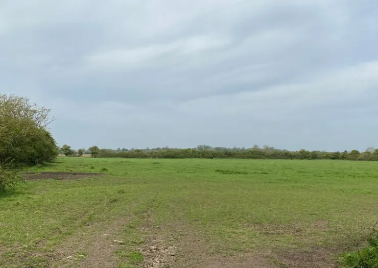 Green field bordered by trees and hedgerows under a cloudy sky.