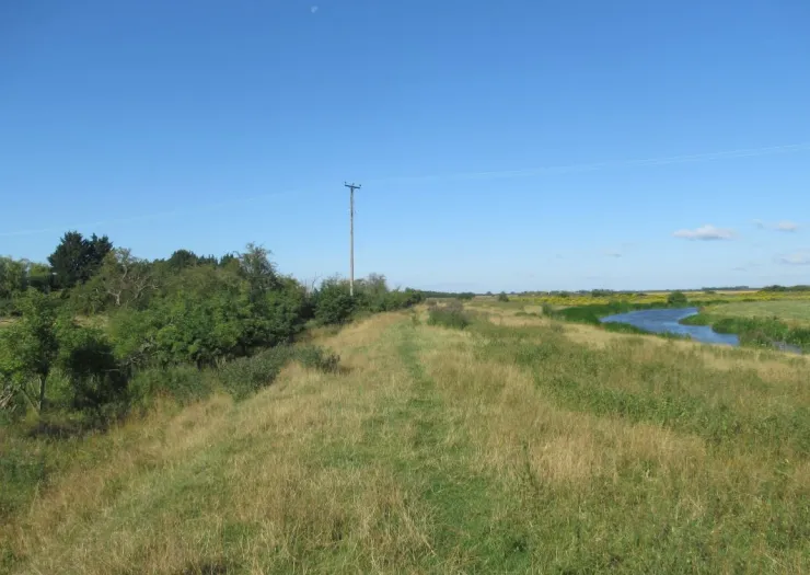 Golden meadow leading to a winding river, trees, and a telephone pole under a clear blue sky.