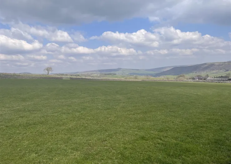 Green field with a lone tree, stone wall, and rolling hills under a cloudy blue sky.