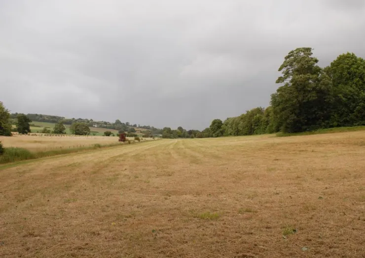 Dry, mown field stretching towards trees and distant hills under a cloudy sky.