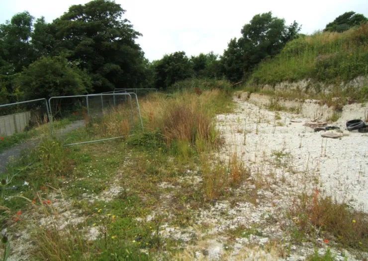 Overgrown field with chalky soil, fenced area, and trees in background.