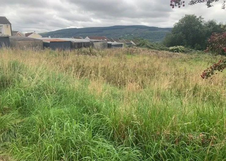 Overgrown field with long grass, some buildings and hills in the background.