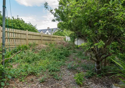 outside overgrown garden