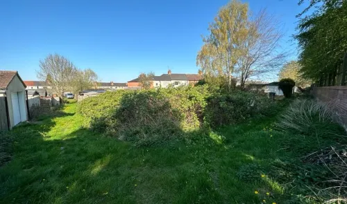 Overgrown garden with large shrubs, grassy areas, trees, and a brick wall under a blue sky.