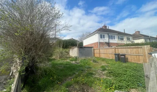 Overgrown garden with shed, fence, and back of a house under a blue sky.