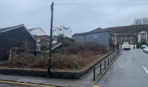 Overgrown plot of land between buildings, viewed from a street corner.