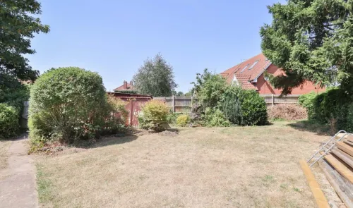 Overgrown garden with dry grass, shrubs, storage container, and wooden planks.