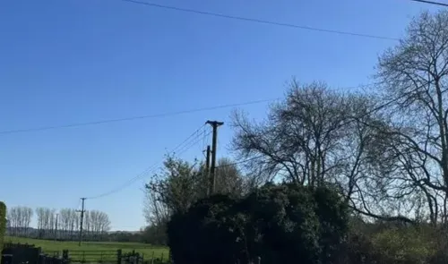 Clear blue sky over a green field, trees, and hedgerow. Utility poles and wires cross the scene.
