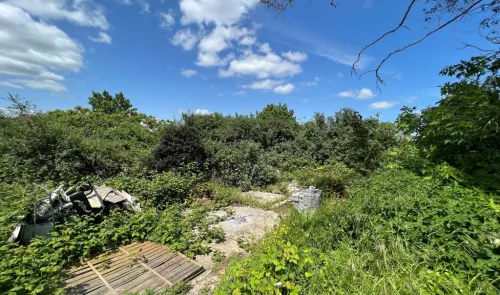 Overgrown plot with debris, green shrubs, and a sunny blue sky.