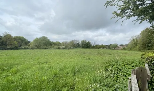 Green field with trees and cloudy sky.