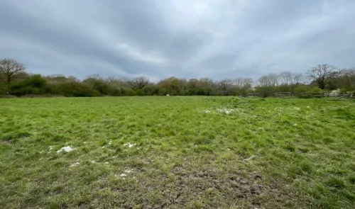 Green field with muddy patches, trees, and a cloudy sky.