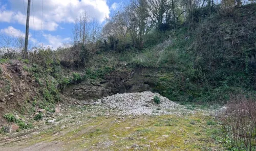 Overgrown quarry face with loose rock pile, under blue sky.