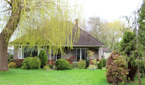 Single-story bungalow with a tiled roof, front garden, and weeping willow tree.