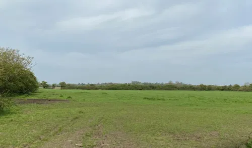 Green field bordered by trees and hedgerows under a cloudy sky.