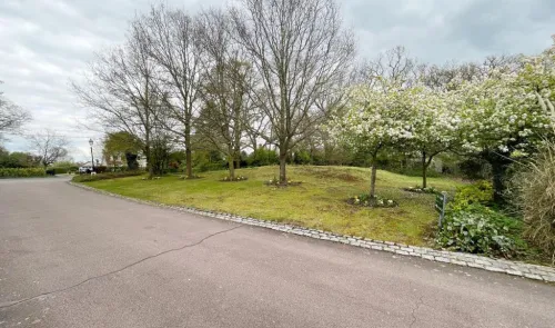 Paved driveway curves past blossoming trees and grassy verge.