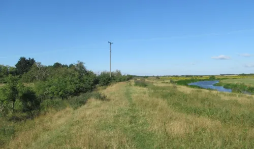Golden meadow leading to a winding river, trees, and a telephone pole under a clear blue sky.