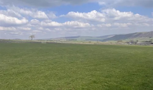 Green field with a lone tree, stone wall, and rolling hills under a cloudy blue sky.