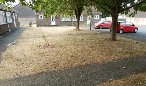 Dry grass area between brick houses and paved parking area with two parked cars.
