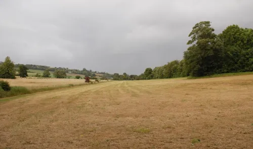Dry, mown field stretching towards trees and distant hills under a cloudy sky.