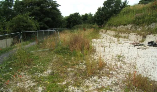 Overgrown field with chalky soil, fenced area, and trees in background.