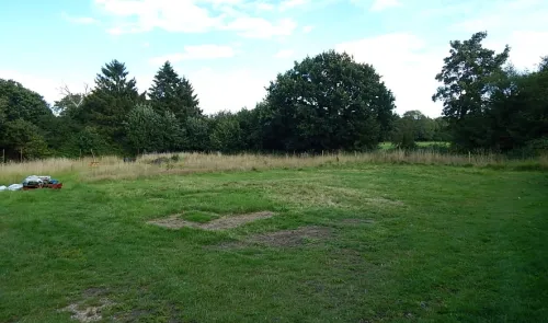 Grass field bordered by trees, with a partially mown "H" shape.