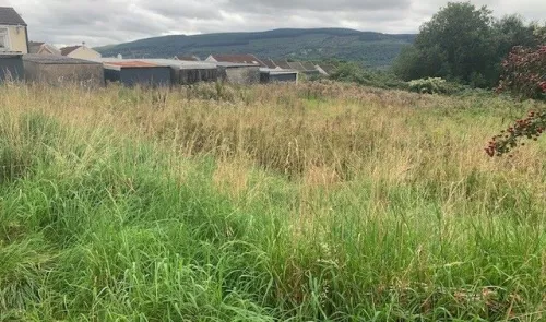 Overgrown field with long grass, some buildings and hills in the background.