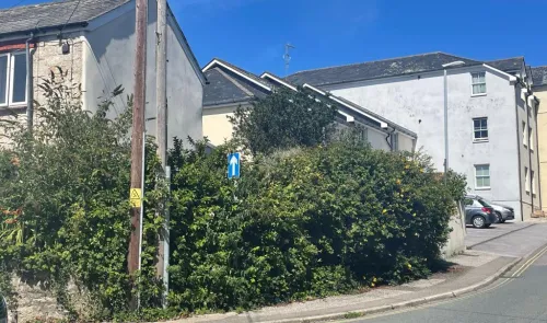 Residential street corner with hedge, utility pole, and apartment building.