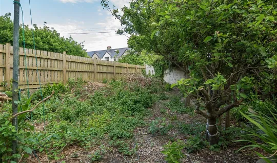 outside overgrown garden